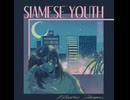 [Pop] Siamese Youth & Futurecop! - Nariyeh Thanei