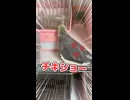 【悲報】モモヒキ長老なな、飯にありつけずキレ散らかすｗｗｗ