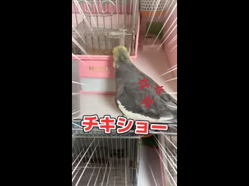 【悲報】モモヒキ長老なな、飯にありつけずキレ散らかすｗｗｗ