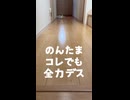 【全速力？】律儀に順番待ちするオカメインコ軍団が可愛すぎる