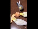 「ミカンの白いとこ食わせたらオカメインコたちが狂喜乱舞ｗｗｗ」