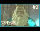 なんて綺麗な瞳【ゼルダの伝説 ブレス オブ ザ ワイルド】#2