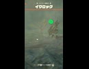 【ティアキン】ミナミノ湾西のイワロック　ゼルダの伝説ティアーズ オブザキングダムNintendo Switch 2 Edition