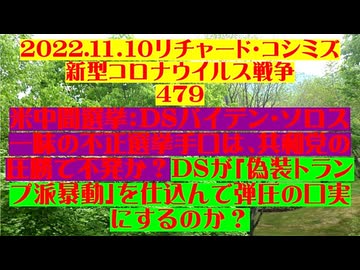 【2022年11月10日 ：『 リチャード・コシミズ「 Internet Lecture 」｟ 新型コロナウイルス戦争 ４７９ ｠｟ RK LIVE ｠｟ 改良版 ｠』】
