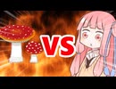 真・茜ちゃんVSきのこ