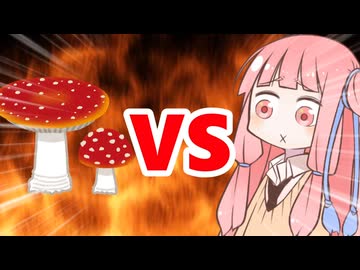 真・茜ちゃんVSきのこ