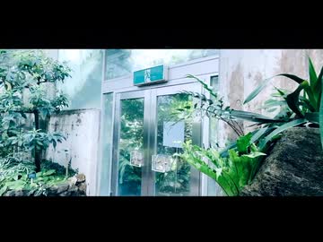 返信不要/ナースロボ_タイプT