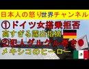 【ドイツ女が異常な露出で搭乗拒否】「ファスナーを上げなさい！」とスタッフに中止されたインフルエンサー女【メキシコでバットマン】場菊窃盗犯の横行で怒り狂った市民が大反撃 #メキシコ #ドイツ
