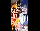 青春の丸焼き！【ソフトウェアトーク劇場・ショート！】