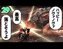 ＃29 狩技フィニッシュしないと進めないダブルクロス！【MHXX/NS】