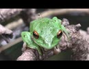 6月の面倒なヤツラー　その5