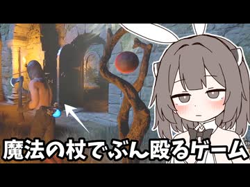 【DaD】剣より杖で殴るほうが強い変なゲーム【Dark and Darker】