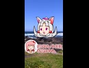 10秒でわかる半夏生に食べるモノ