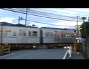 秩父鉄道親鼻No.6踏切