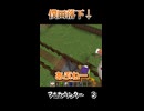 【おわりです】マイクラスキル【ぼとるめいる】