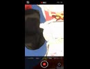 タクヤさんにべあもりゆるも