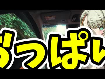 【初投稿】紡乃世詞音と犬とVOICELOID車載【シンプル車載動画投稿祭2026】