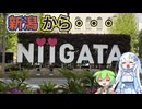 【今回は移動メイン】ノジマステラサポーターによるアルビレックス新潟レディースアウェイ観戦旅 その2【あとラーメン】