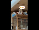 もう毎日落とします□□