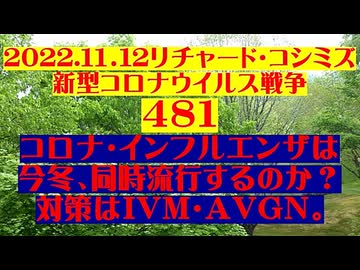 【2022年11月12日 ：『 リチャード・コシミズ「 Internet Lecture 」｟ 新型コロナウイルス戦争 ４８１ ｠｟ RK LIVE ｠｟ 改良版 ｠』】