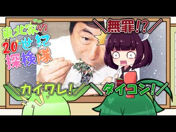 東北家の20世紀探検隊 FILE20【O157】