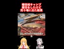 秘境 福島県檜枝岐での #ソロキャンプ 朝寝坊をしたけど #フライフィッシング をした結果 #弦巻マキ #小春六花 実況