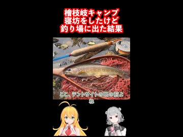 秘境 福島県檜枝岐での #ソロキャンプ 朝寝坊をしたけど #フライフィッシング をした結果 #弦巻マキ #小春六花 実況