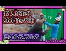 リアル北斗の拳！ 世界最悪の犯罪都市が生まれた理由【 ゆっくり解説 ヨハネスブルグ 】