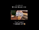 バーミヤンで昼から食べ飲みまくった日
