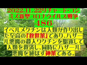 【2022年11月22日 ：『 リチャード・コシミズ「 Internet Lecture 」｟ 新型コロナウイルス戦争 ４８６ ｠｟ RK LIVE ｠｟ 改良版 ｠』】