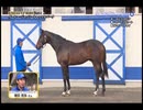 ２歳馬のＸＸＸをゆかりんがナニする番組2026 part.1