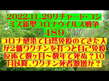 【2022年11月29日 ：『 リチャード・コシミズ「 Internet Lecture 」｟ 新型コロナウイルス戦争 ４８９ ｠｟ RK LIVE ｠｟ 改良版 ｠』】