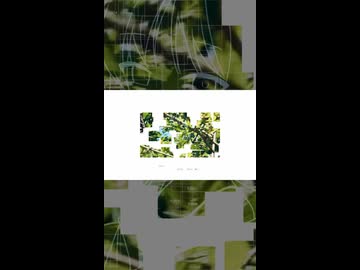 流動を定める / Gyr0 feat.asa 4