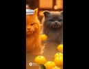 いい香りのお風呂