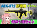 【BF6】高精度AEK‐971でタクティカルオブリタレーション！　パート132