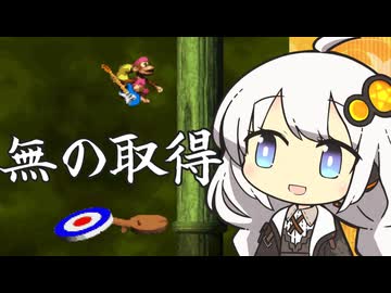 【スーパードンキーコング2】無の取得とかについて