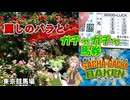 東京競馬場散策！ 麗しのバラとドキドキのガチャガチャ馬券