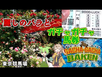 東京競馬場散策！ 麗しのバラとドキドキのガチャガチャ馬券