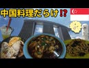 【シンガポール】華人が築いた街で中国料理を食べ歩く｜マリーナベイ・サンズとチャイナタウン