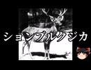 【ゆっくり朗読】ゆっくりさんと絶滅した生物　その94