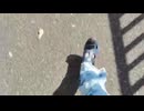 揚げ物を探しにスーパーまで歩くさとう 2026年6月