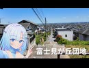 【ボイボ散歩】ノスタルジックな団地を一望できる最高の路地がありました【whiteCUL】
