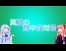 真夏の釣行での熱中症対策！