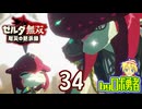 【34】Exゾーラ族編と危険個体！ゼルダ無双 厄災の黙示録を実況学習【VTuber】