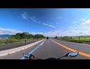 とあるバイクの通勤風景20260703 亀を助けて竜宮城へ行く時間はないんだ