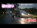 猫の祟り。オリジナル曲