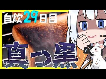 【真っ黒】グリルでトースト!? 焼けらぁ!!【VOICEROIDキッチン】自炊29日目