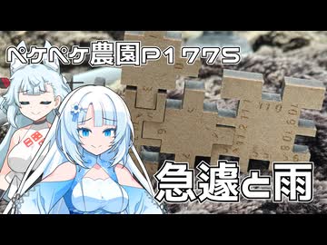 2026年7月3日　日記1775　急遽御呼ばれした為、なにもなにも何もできなかった