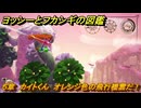 ヨッシーとフカシギの図鑑　５章　カイトくん　オレンジ色の飛行機雲だ！　＃５６３　【Switch2】