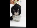 中国うさぎちゃんのぬいぐるみを作ってる